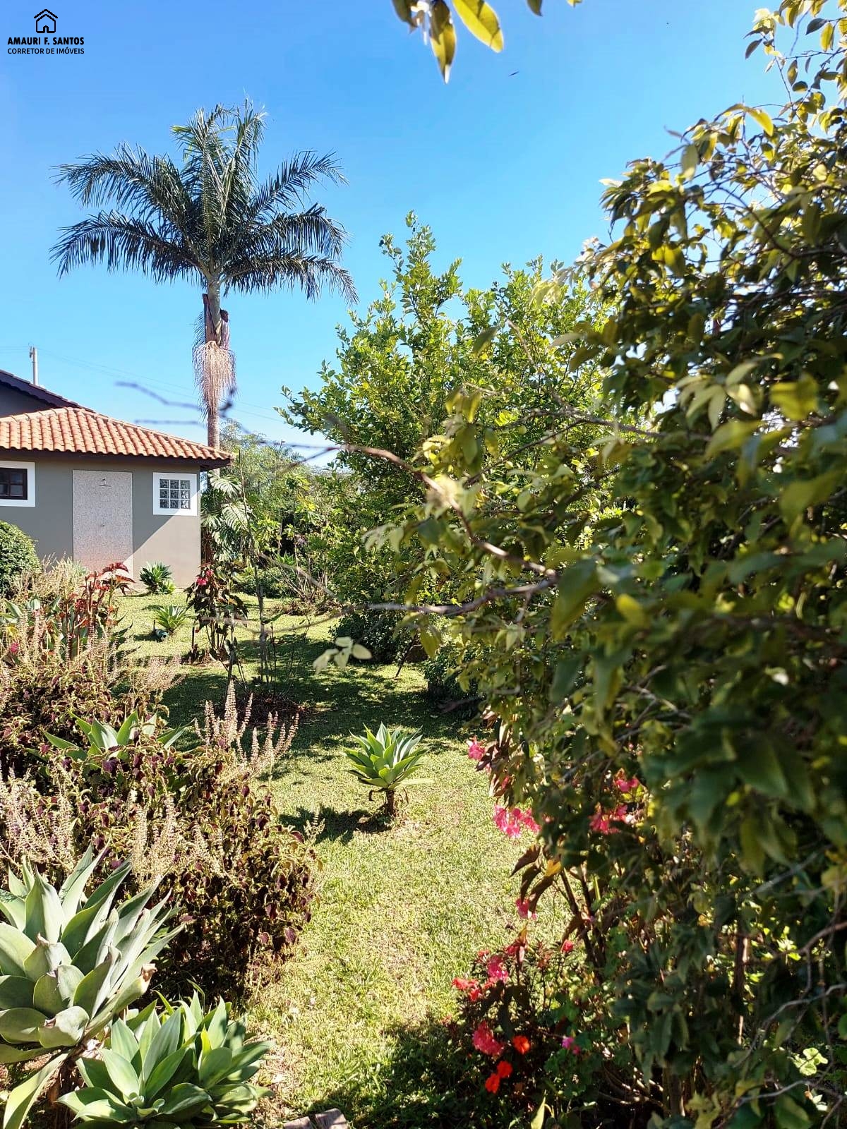 Chácara em , São Roque - Foto 13